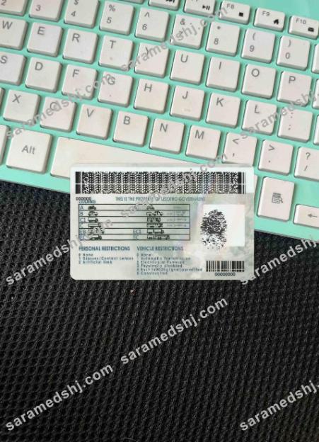 Lesotho driving license photolook BACK
